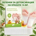 1766830588621-x9hrml5xjwd