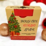 Отгледайте Своя Жива Коледна ЕлаD1 1 Оригинална елха
