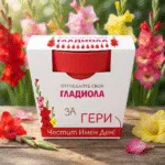 1769240488155-9r2br81an9m