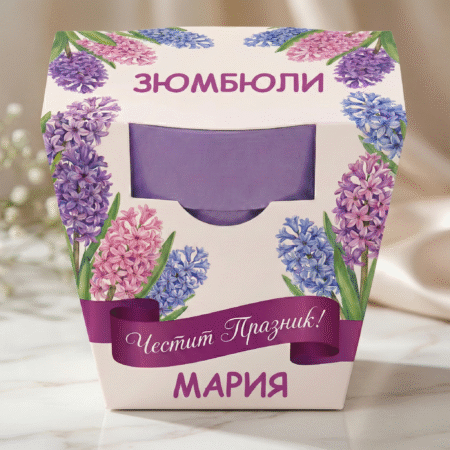 Как да засадим и отгледаме зюмбюли: в саксия, във ваза и в градината 2 Комплект „Зюмбюли“