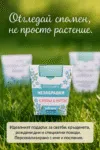 1769242076590-74v3pybqr7o