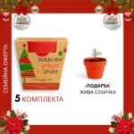 Red Collage Christmas Sale Instagram Post
