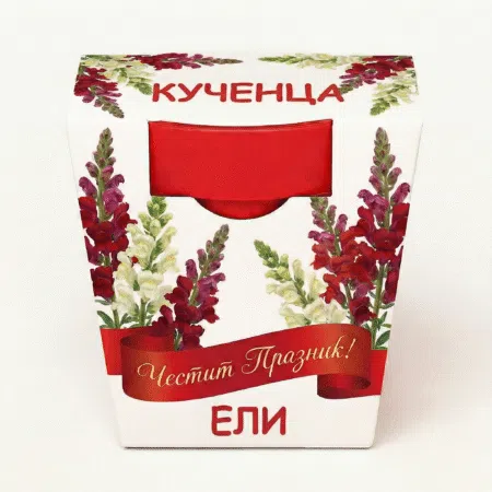 Kecovebg.com© | Комфортни решения за вашите ходила 10 1770015273197 y2tua7igtmb