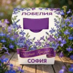 2601c12bc8c544b0a72ce484e0a0aa98_1769948586_c9zrn36h