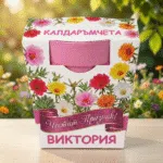 Подаръчен комплект с Калдаръмчета – символ на нежност, устойчивост и естествена красота 1 image_1769945278530_yuis59