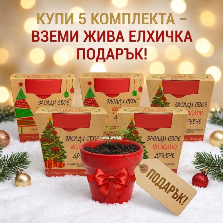 Начална страница 36 5 комплекта и жива елхичка