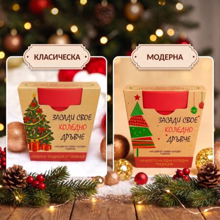 Начална страница 25 Двата дизайна на Grow X-MAS: Класическа (елха с подаръци) и Модерна (елха на райета)