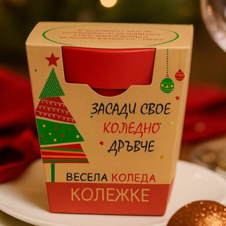 Какво да подарим за Коледа: 15 лични идеи, по-добри от поредния шал 15 Grow X-MAS за фирми