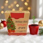 grow-xmas-glavna-raieta